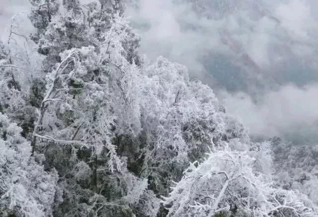 这是贵州最全的冰雪景观！美得有点猝不及防……