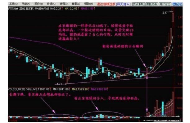 股市皇者教你“猎豹出击”战法，无需担心为庄家送肉了