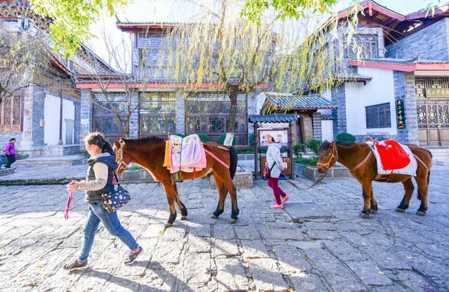 丽江的马为什么没人骑了?50元、40元便可骑着游一圈