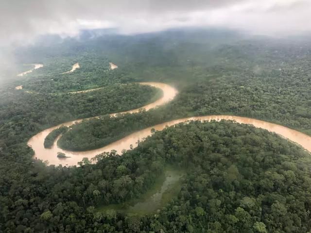 在亚马逊雨林，聆听地球呼吸的声音