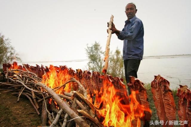 到新疆吃什么海鲜？野生冷水鱼才是第一选择