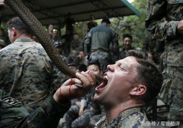 生喝蛇血，活吞狼蛛！泰国办的这场多国联合军演实在惊悚！