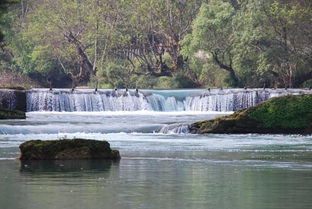 随走札记｜一到春天，罗平就变成了多彩的世界