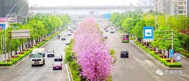 别说贵港不行！贵港真的没什么，也就这些……