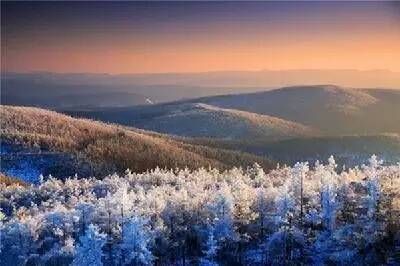 中国最美的森林，你最想去哪一个？