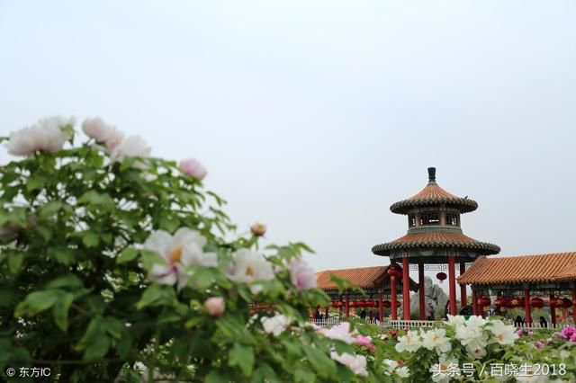 进入5月份，菏泽100个小区二手房价出炉，看看有你感兴趣的吗？