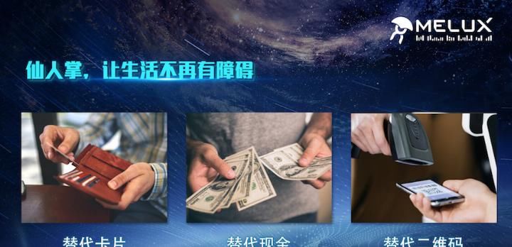 刷脸支付前几名