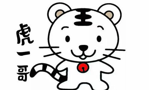 虎一哥双色球19050期预测:连续3期都是4+0,小