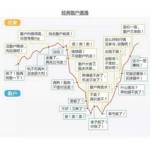 中国股市：散户高手都这么选股，读懂了炒股一辈子不会输！