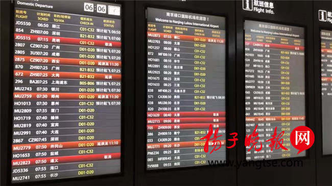 受大雾天气影响,南京禄口国际机场多个航班延