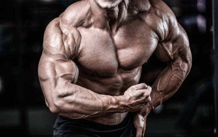 怎么样才能练出胳膊肌肉 t014a1bf1c115fa3e38.jpg