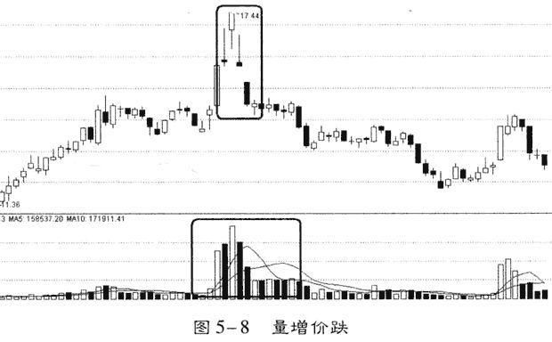 32岁海归女交易员肺腑独白：记住这些量价特征，快人一步跟庄吃肉