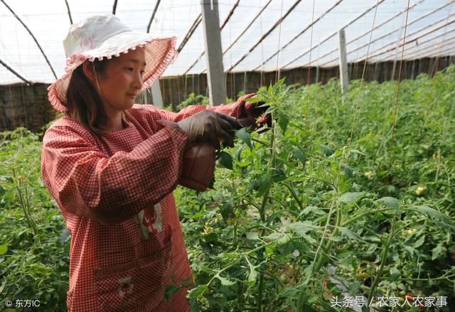 一生产队长说；农村女人回家才能振兴乡村，这5个理由很实在！