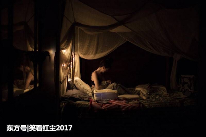 来自澳大利亚的有趣照片 来自澳洲的那些趣事，袋鼠乱穿马路，蛇