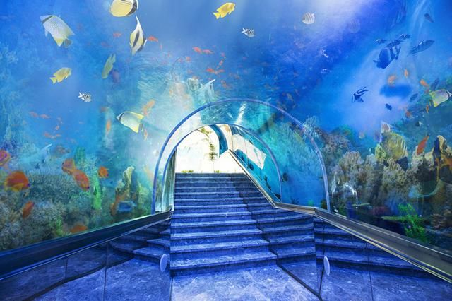 海底？山洞？这个夏天最燃的玩法！惊险刺激啊！