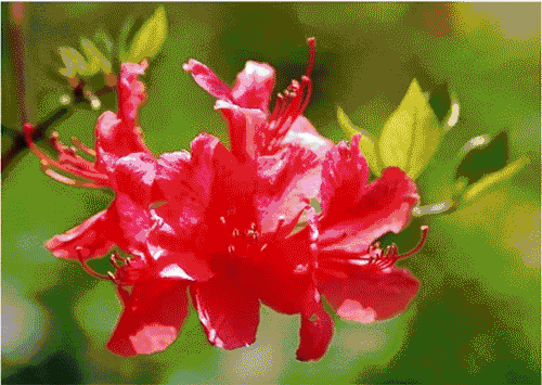 火遍全世界！央视王牌栏目外景地锁定麻城龟峰山景区...