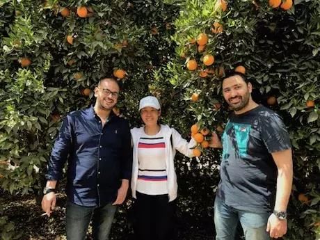 了解天下柑橘产业:2018年全球柑橘市场报告分