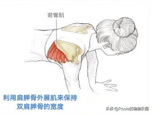 快速瘦大腿的最佳方法 t014bda29348133216d.jpg