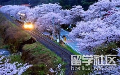 日语专业如何申请日本大学院