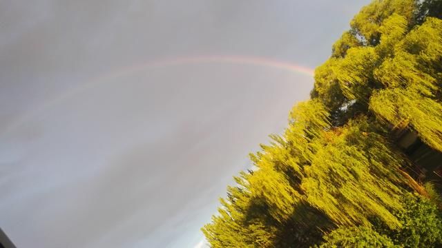 小学语文同音字组词汇总