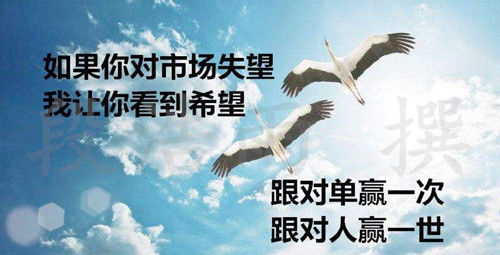 高甜甜:投资靠智慧，解套靠实力，你还在等待什么？