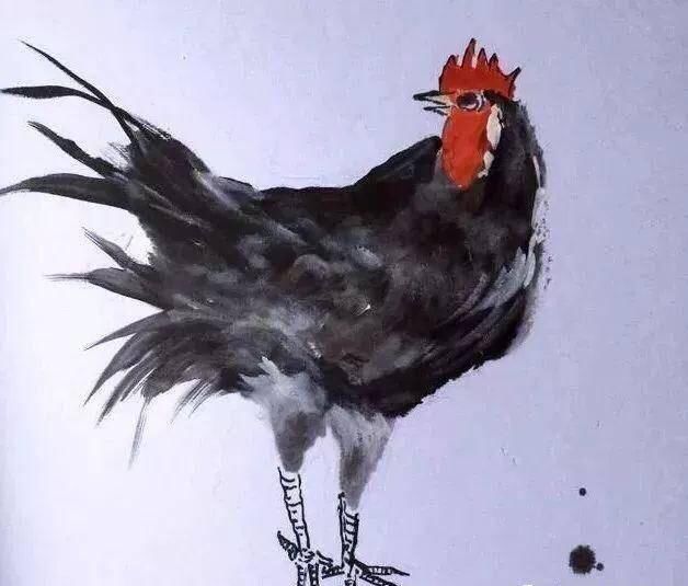 崔永元画的鸡和安娜猫一样有斗志天鸡一叫凡鸡