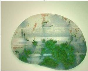 原创天然的文化载体室内观赏奇石