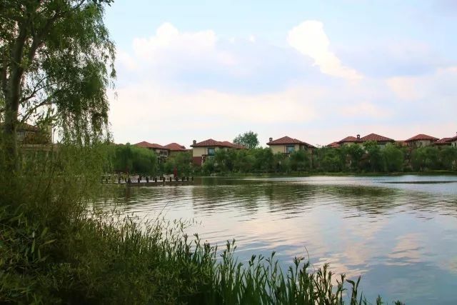 金陵十一大最美湖景豪宅曝光!这才是南京人该住的房子!