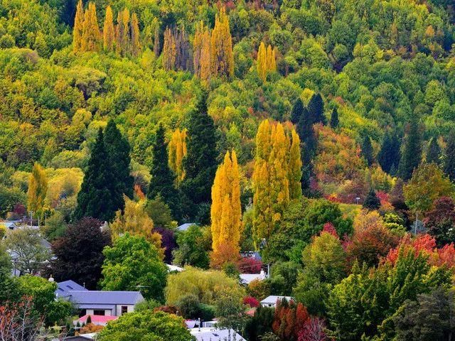 除了皇后镇，新西兰旅游还能玩什么?