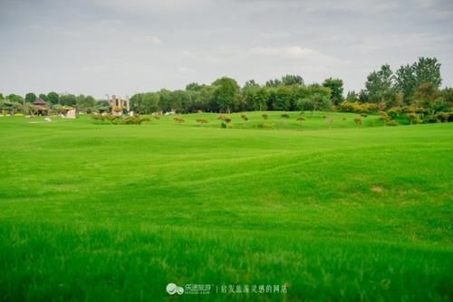 自驾南通,寻找江浙沪最美的绿野仙踪