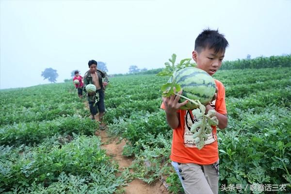 农村新出三个怪现象，每个村都会有，但都是睁一只眼闭一只眼！