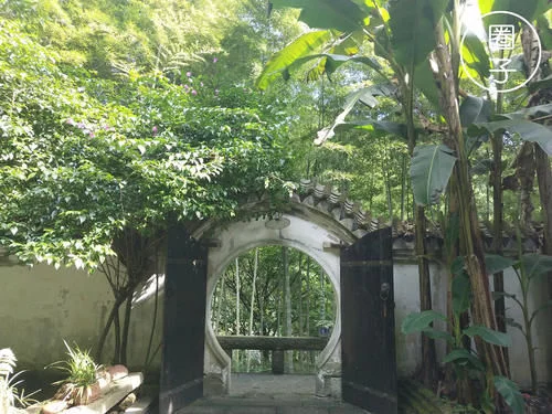 登录查看大图