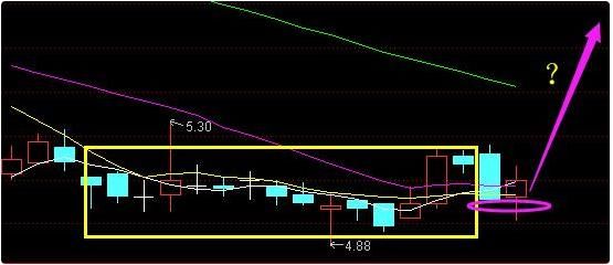 抖音概念第一龙头崛起,大股东增持6700万股,本