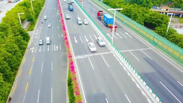 走起!跟着小番来看看番禺的盛世美颜