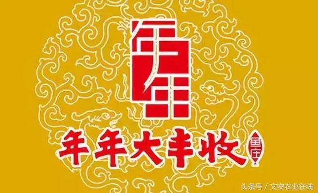 农民抱怨：今年小麦减产严重！专家：今年夏粮有望获丰收！