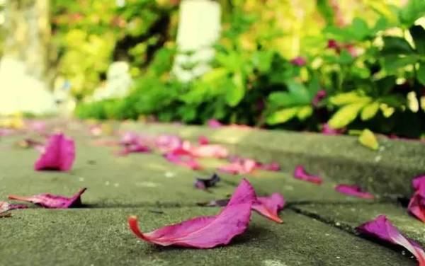 诗人可以把雨写得如此浪漫，10首关于于的古诗词分享给大家