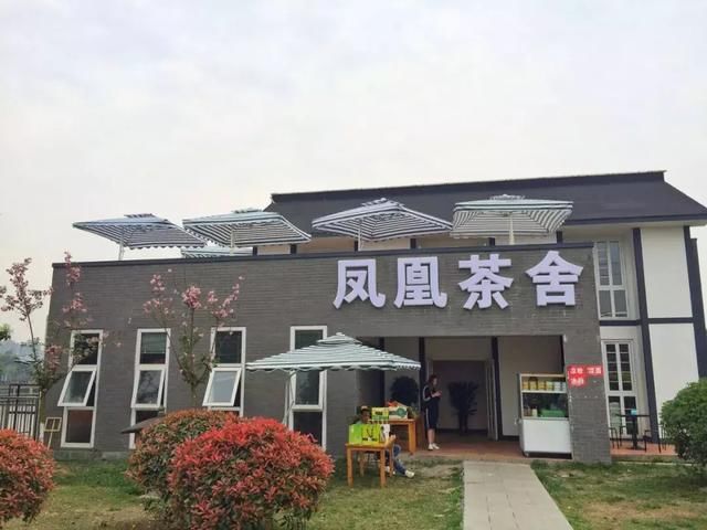 青白江凤凰湖的樱花终于开了，门票免费，再也不用去日本看樱花啦