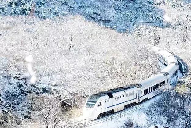 别去日本了！北京这趟6元小火车，带你穿越绝美樱花！沿途风景惊