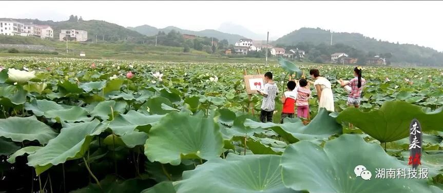 ［视频］央视“走遍中国”为何走进湖南这地的乡村？