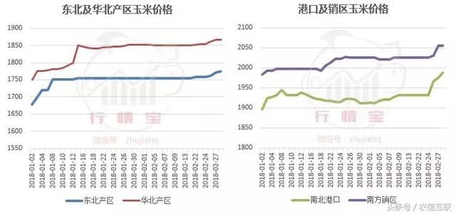 玉米涨价势如破竹！听说山东局地突破1元\/斤！未来还涨吗？