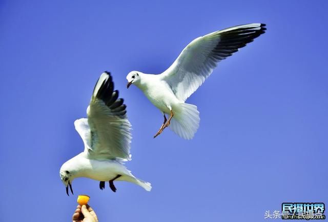 5月的云南美美滴-与大家一同分享云南旅游 摄影的景色