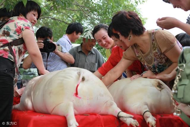 因为我在年前买了二十斤猪肉，除夕夜婆婆就敲开了我房门给我难堪