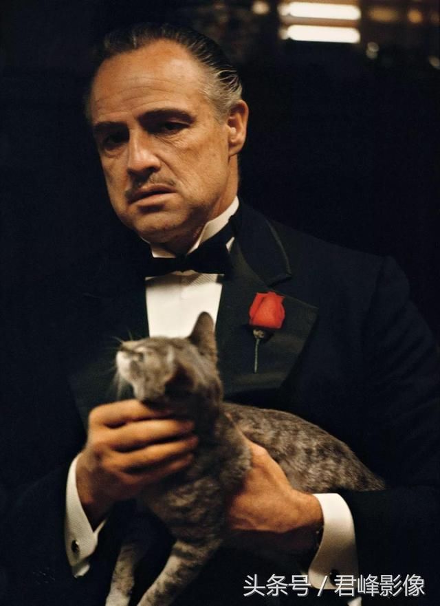 世界上最有风度的男人照片,出自他的镜头