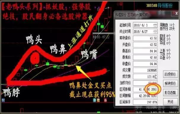 中国股市的“庞氏骗局”终于露出了真面目：散户深夜发出“哭嚎”