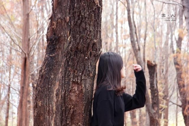 云南 云景 云雾 记年假第一次的旅行结伴