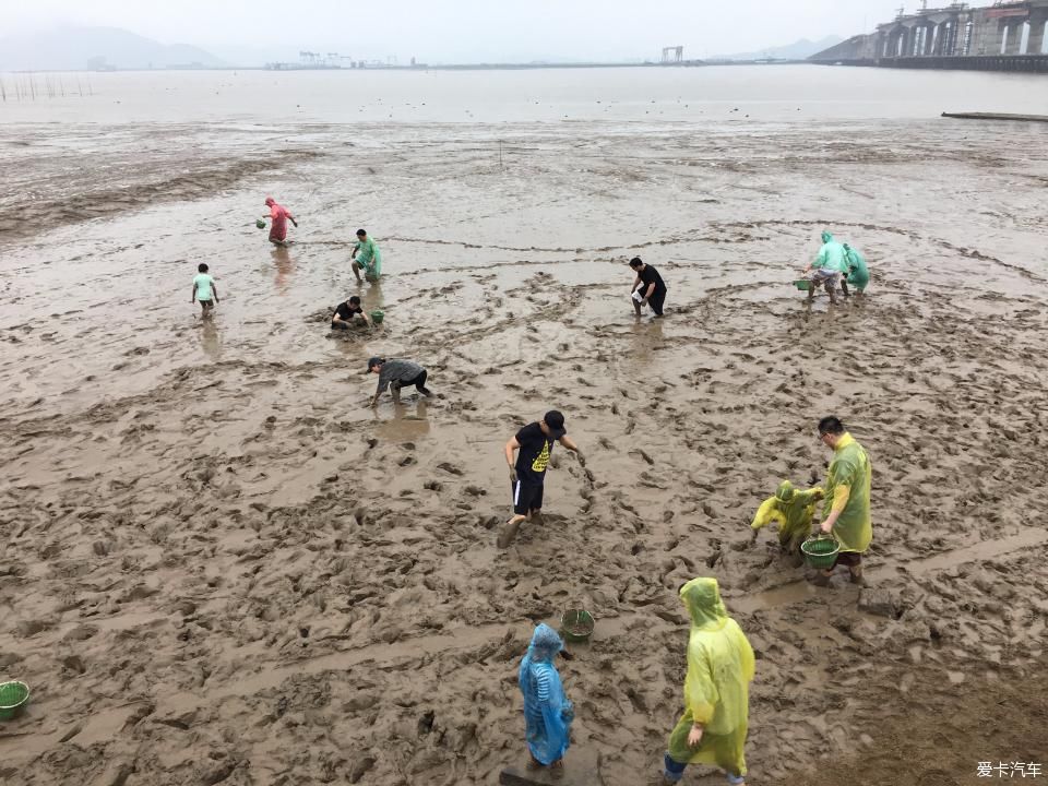 浙江万国杭州大区蛇蟠岛自驾游