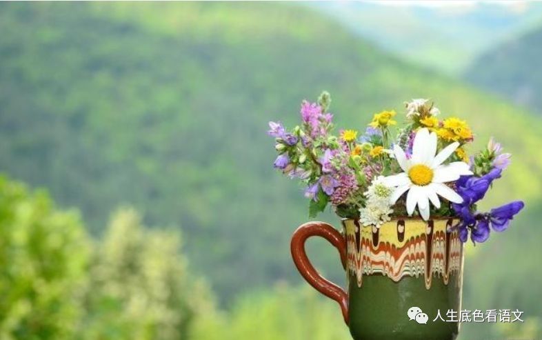 分析报告怎么写范文