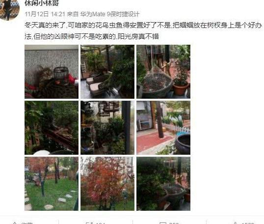 杨幂爸爸晒自家庭院, 却不小心拍到家庭住址, 网