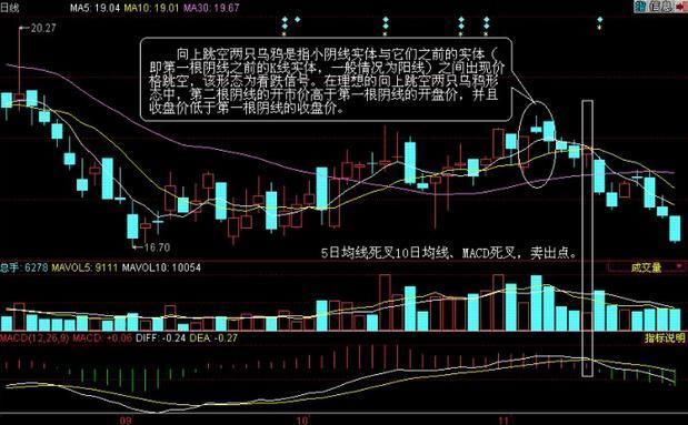 股市天才的良心告诫:读懂MACD的“三种诀窍”, 上班族也能赚翻天