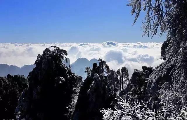 清明买不上票？各主题列车带你游全国！